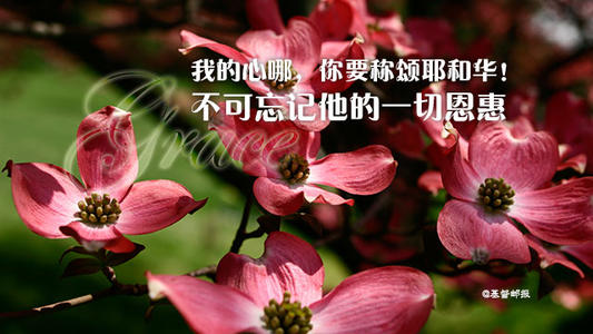 经典句：我拥有属于我的一颗心