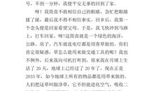 小学生想象作文