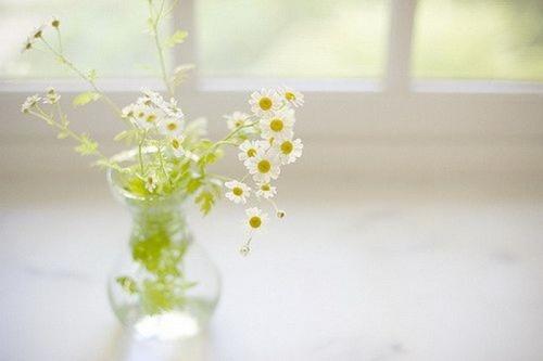 坚持梦想的代价是什么？