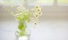 坚持梦想，要付出什么样的代价呢？