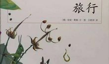 一粒种子的旅行读后感