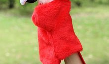 圣诞鹦鹉读后感