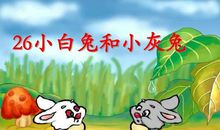 作文小灰兔和小松鼠