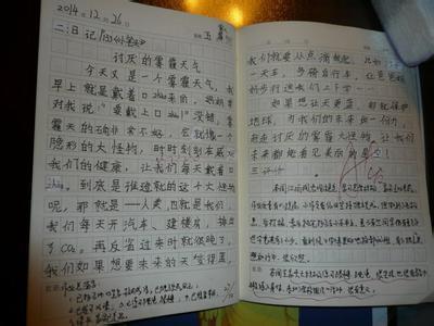 烟雾成分400字