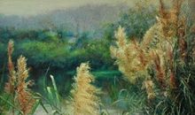 阿桃历险记读后感