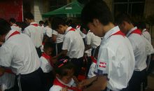 红领巾相约中国梦作文