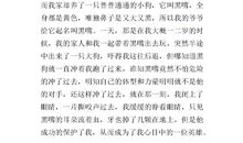 我心目中的榜样作文