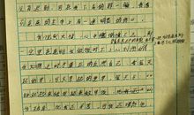 那一次我真的感动了作文