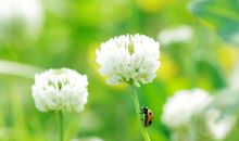 把梦留住读后感