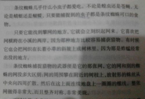 关于初中生昆虫的思考