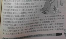 作文我和小动物400字