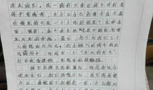 外国名著读后感800字