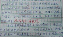 我的美术老师作文