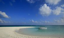 美丽的西沙群岛作文