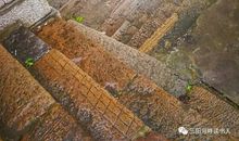 读老人与海后感