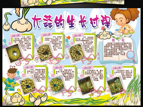 观察植物的日记