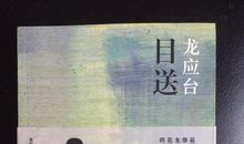 龙应台目送读后感