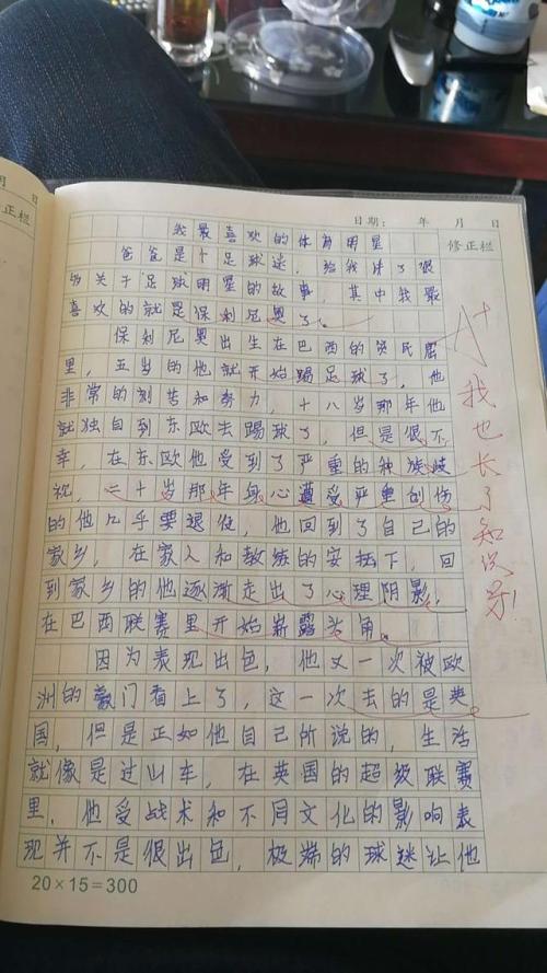 我心目中的恒星组成