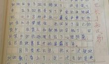 我心目中的明星作文