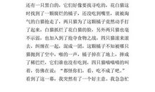 保护小动物的作文