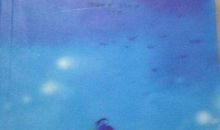 天蓝色的彼岸读后感2000字