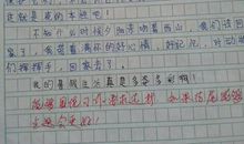 小动物的作文