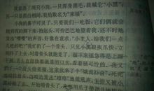 小学生300字日记