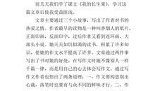 两个人的梦想秀读后感300字