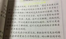 关于民俗风情的作文