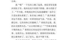 我喜欢的小动物作文100字