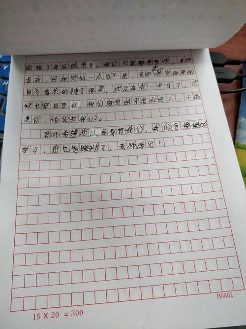 我的朋友高中作文