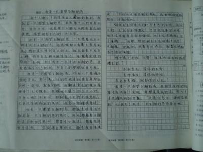 600字的文字