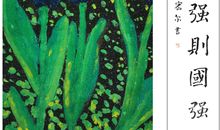 我不再怕黑作文