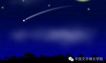 难忘月夜作文
