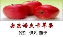 安东诺夫卡苹果读后感