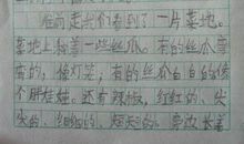 春天美景的作文