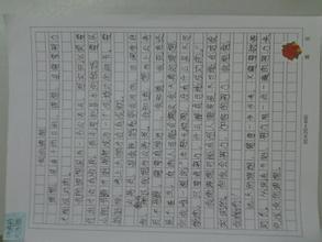 我理想的歌手组成