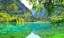 有一种感情叫永恒