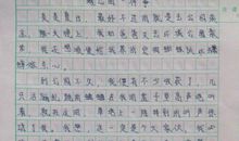 难忘的一件事450字