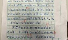 难忘她的微笑作文