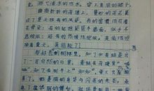我的卧室作文300字