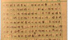 父母对我的爱作文