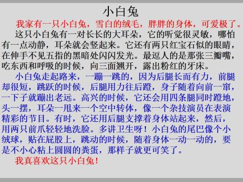 难忘的老师300字作文