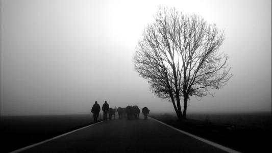 如果有另一种生活,让我永远照顾你