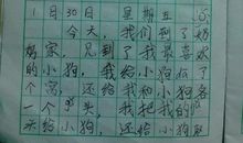 初中寒假日记大全