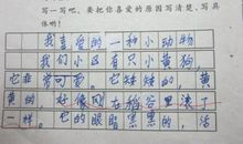 关于动物的作文