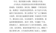 作文观察小动物