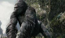 看不见的大猩猩读后感