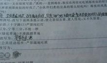 江畔独步寻花的改写