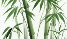 关于竹子精神的作文